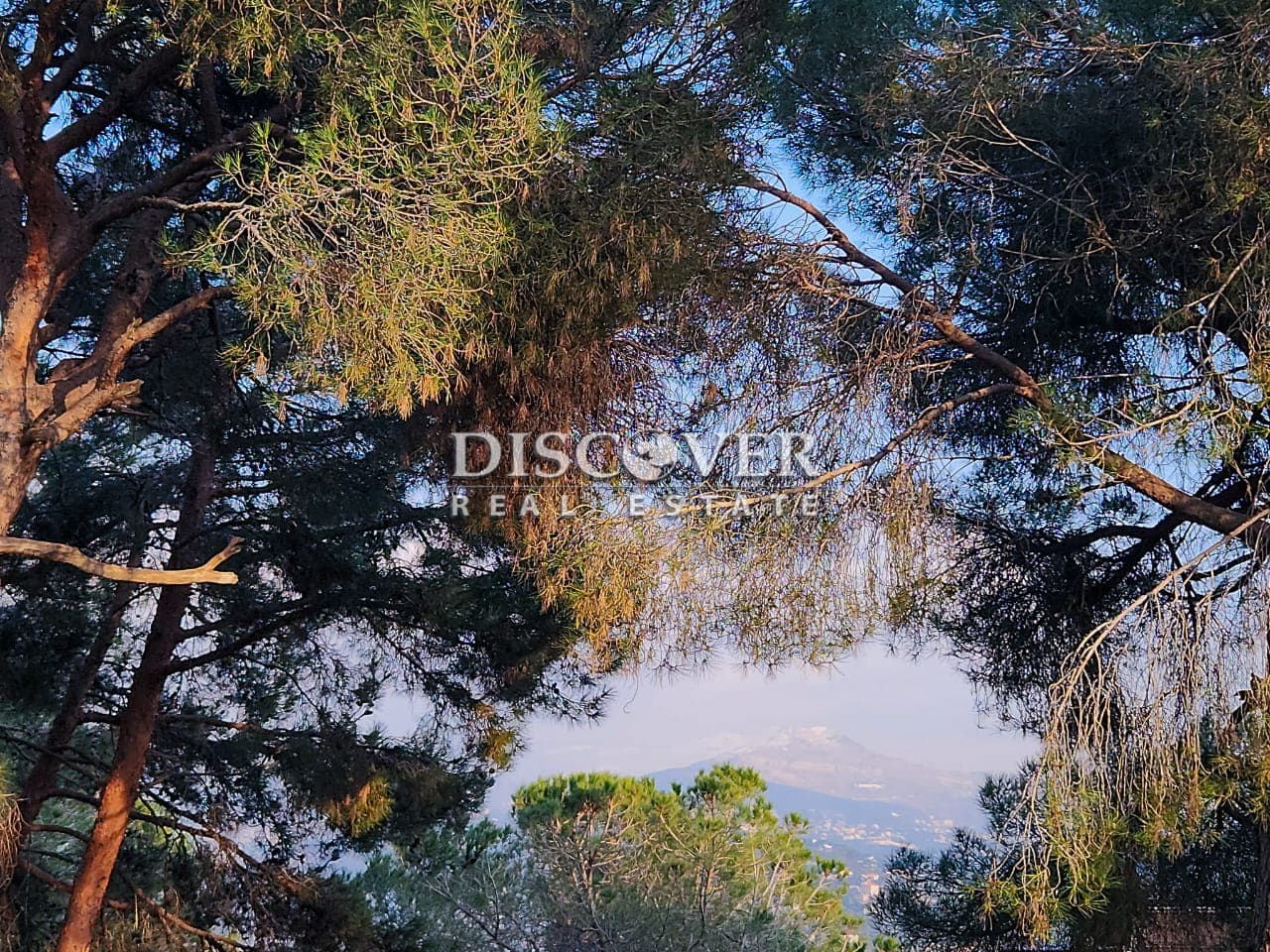 perfect canvas for developers | Land for sale